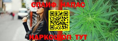 мдпв Гай